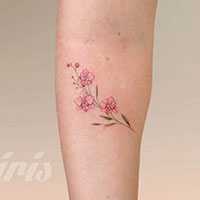 tattoo, walk ins, tattoo miami, iristattoo