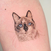 tattoo, walk ins, tattoo miami, iristattoo